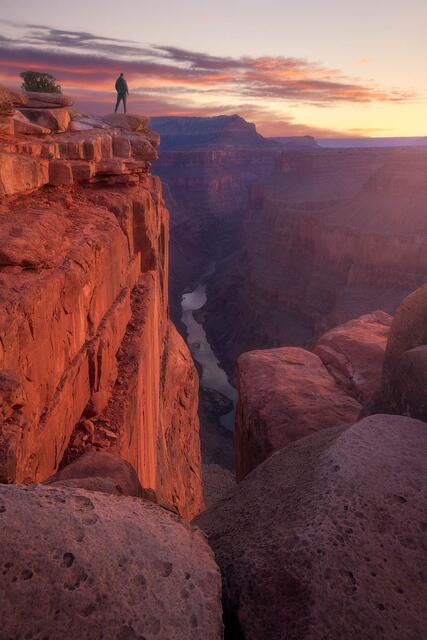 Life at the Edge print