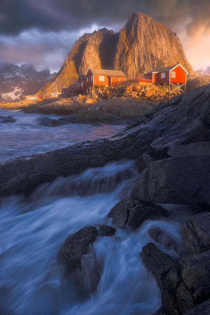 Did I Get Wet? print