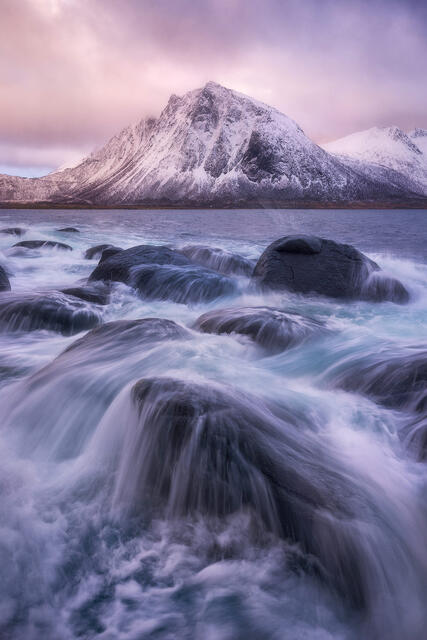 Senja Dream print