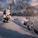 Winter Wonderland