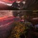 Fate of Light