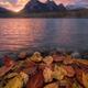 Autumn Hues