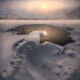Cold Snap