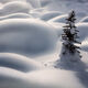 Winterized