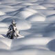 Solitude