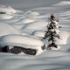 Snow Blanket