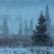 Diffused Symphony
