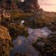 Hidden Kingdom