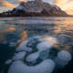 Frozen In Time