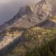Little Details, Big Mountain