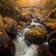 Cascading Beauty